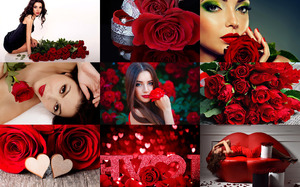 Red Roses 1 - Rote Rosen 1