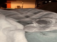 Wer versteckt sich denn da