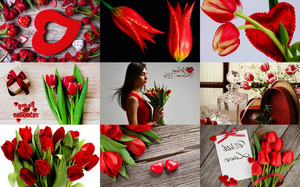 klicke hier, um die Datei herunterzuladen Valentine Tulips - Valentinstag Tulpen