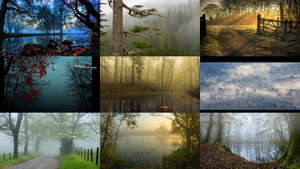 klicke hier, um die Datei herunterzuladen Nebel 2