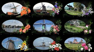klicke hier, um die Datei herunterzuladen Daar bij die molen - Dort in der Muehle