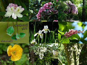 Botanische tuin-Kerkrade - Botanischer Garten-Kerkrade