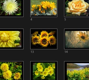klicke hier, um die Datei herunterzuladen Ma Petite Fleur Jaune - Meine kleine gelbe Blume