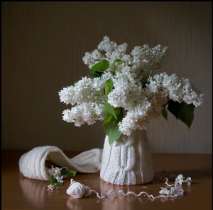 klicke hier, um die Datei herunterzuladen Art et Nature 4 Still life - Kunst und Natur 4