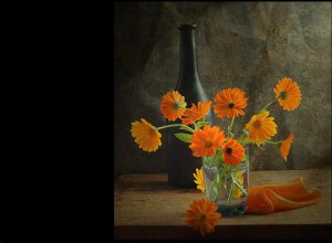 klicke hier, um die Datei herunterzuladen Art et Nature 5 Stilllife - Kunst und Natur 5