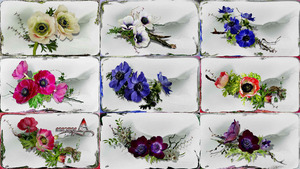 klicke hier, um die Datei herunterzuladen Anemonen