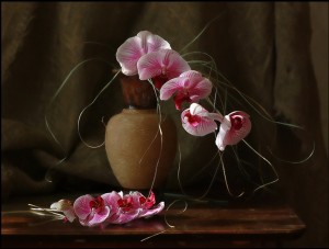klicke hier, um die Datei herunterzuladen Art et Nature 6 Stillife - Kunst und Natur 6