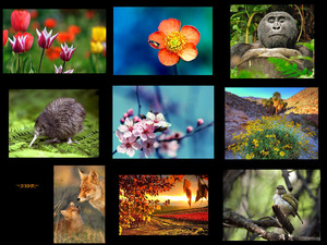 Nature-Sublime-35---Erhabene-Natur-35.pps auf www.funpot.net