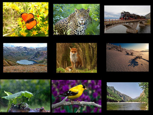 klicke hier, um die Datei herunterzuladen Nature Sublime 15 - Erhabene Natur 15
