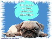 Oh Gott