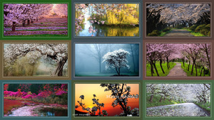 klicke hier, um die Datei herunterzuladen Blüten 2