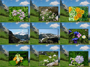 klicke hier, um die Datei herunterzuladen Spring in the mountains - Frühling in den Bergen