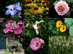 klicke hier, um die Datei herunterzuladen The Country life - Das Landleben