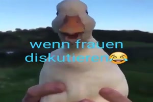Kommt hin