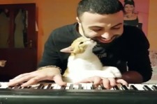 Ein Katzenfreund am Klavier