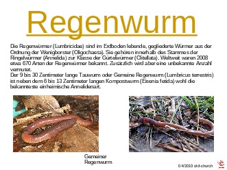 klicke hier, um die Datei herunterzuladen ungewöhnliche Tiere - Regenwurm