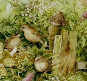 klicke hier, um die Datei herunterzuladen Marjolein Bastin