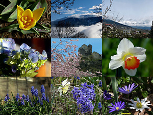 klicke hier, um die Datei herunterzuladen Frühling liegt in der Luft