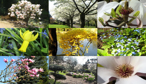 klicke hier, um die Datei herunterzuladen Spring and this is just the beginning - Frühling