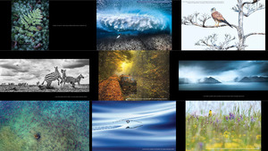 klicke hier, um die Datei herunterzuladen Outdoor Photographer of the Year 2018 - Winners -