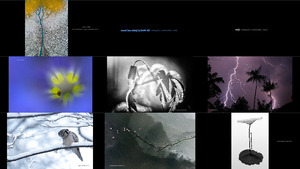 klicke hier, um die Datei herunterzuladen TransNatura International Nature Photo Contest -