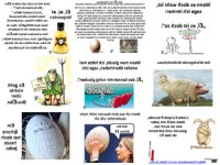 Ach Du dickes Ei