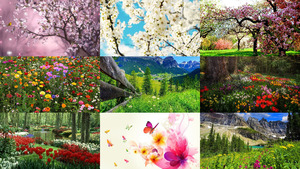 klicke hier, um die Datei herunterzuladen Frühling 25
