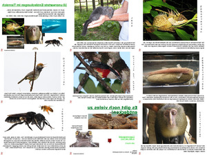 10-unerwartete-Tier-Entdeckungen.pps auf www.funpot.net