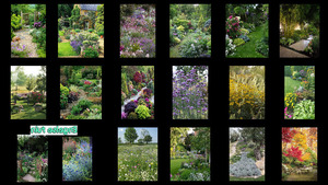 Engelse tuin - Englischer Garten