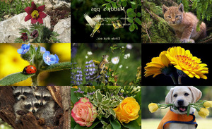 Tiere und Blumen