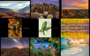 Natures-Colors-Photo-Contest-Winners--.ppsx auf www.funpot.net