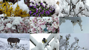 Winter am 4-April-2019