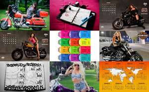 klicke hier, um die Datei herunterzuladen Calendar Girls - Kalendermädchen
