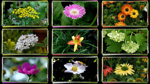 klicke hier, um die Datei herunterzuladen Gifts From The Garden - Geschenke aus dem Garten