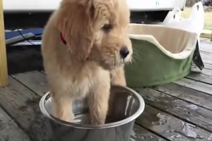 Erst mal das Wasser da raus machen