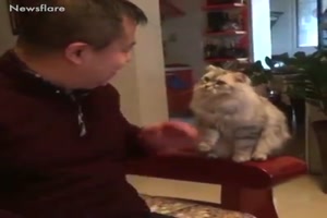 Lustige Tiere