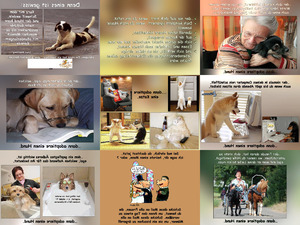 klicke hier, um die Datei herunterzuladen Adoptiere Einen Hund