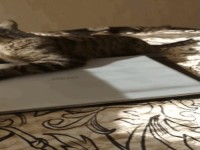 Schluss jetzt mit dem Laptop