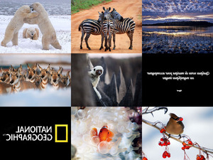 klicke hier, um die Datei herunterzuladen Tiere und Natur