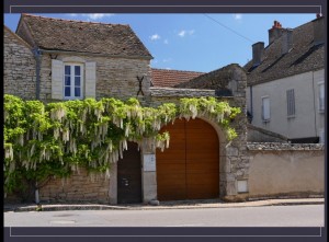 Impressionen aus dem Burgund 1