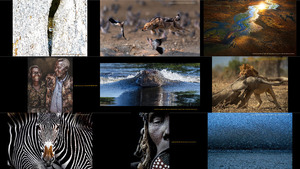 klicke hier, um die Datei herunterzuladen Africa Geographic Photographer of the Year - 2019 Winners -