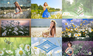 klicke hier, um die Datei herunterzuladen Daisies - Gänseblümchen