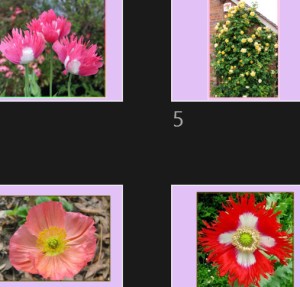 klicke hier, um die Datei herunterzuladen Fleurs 1 - Blumen 1