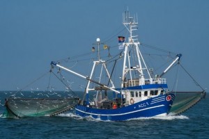 klicke hier, um die Datei herunterzuladen Schiffe und Boote 2
