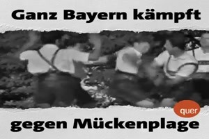 Ganz Bayern kaempft gegen Mueckenplage