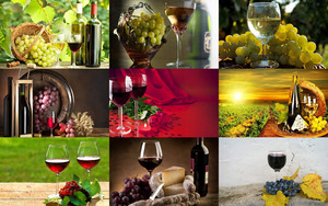 klicke hier, um die Datei herunterzuladen Good wine a delight... - Guter Wein ein Genuss ...