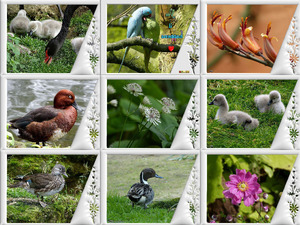 klicke hier, um die Datei herunterzuladen I can feel the spring honey - Ich kann den Frühling fühlen