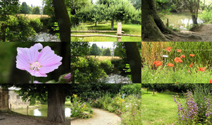 De Kruiden en bloemen tuin van kasteel Schaloen (Valkenburg)