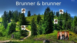 brunner brunner 005