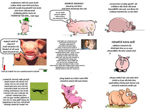 klicke hier, um die Datei herunterzuladen Du armes Schwein